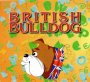 Результаты международного игрового конкурса "British Buldog"