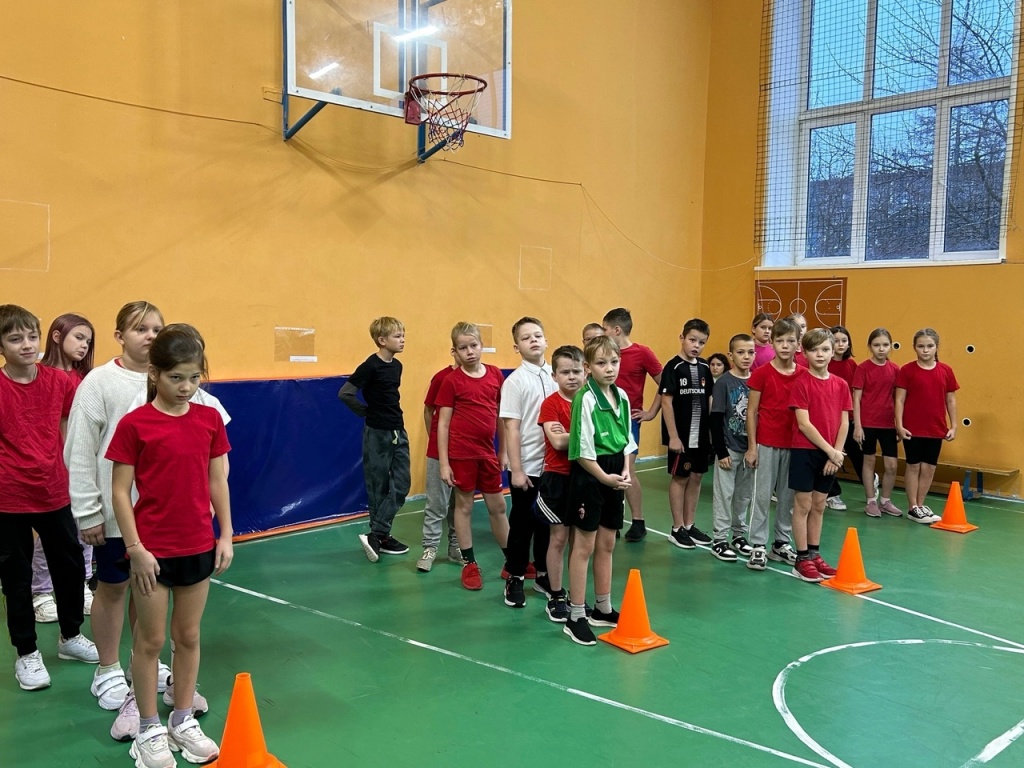 4б.jpg